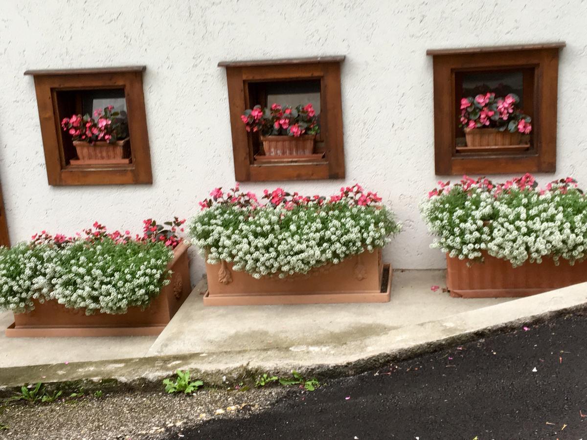Albergo Meuble Tarandan Forni di Sopra Exteriör bild