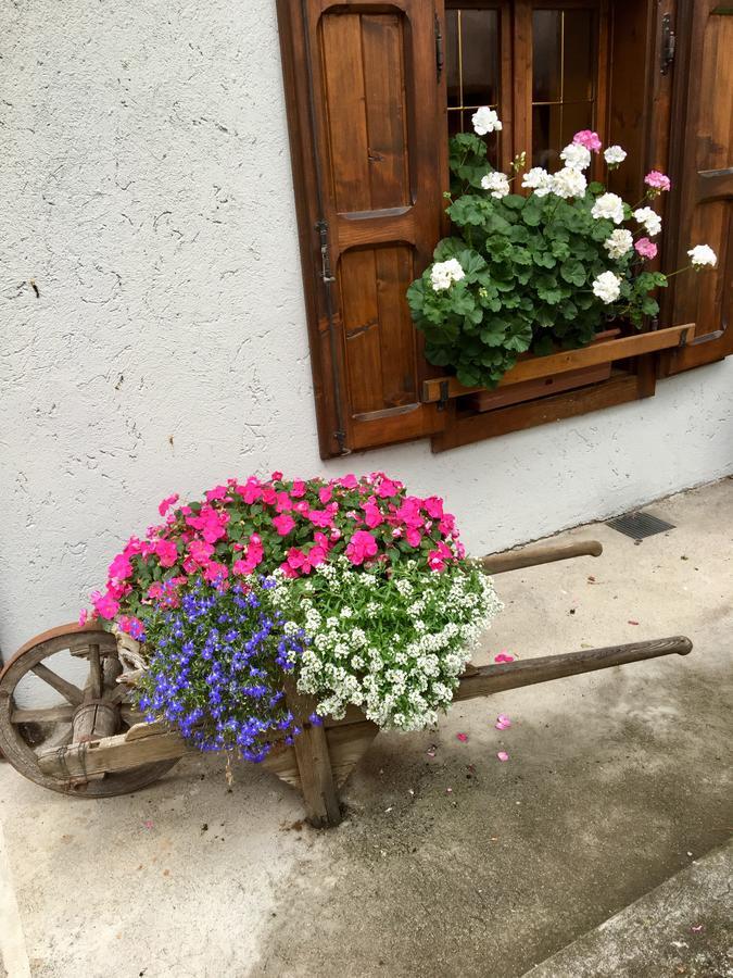 Albergo Meuble Tarandan Forni di Sopra Exteriör bild