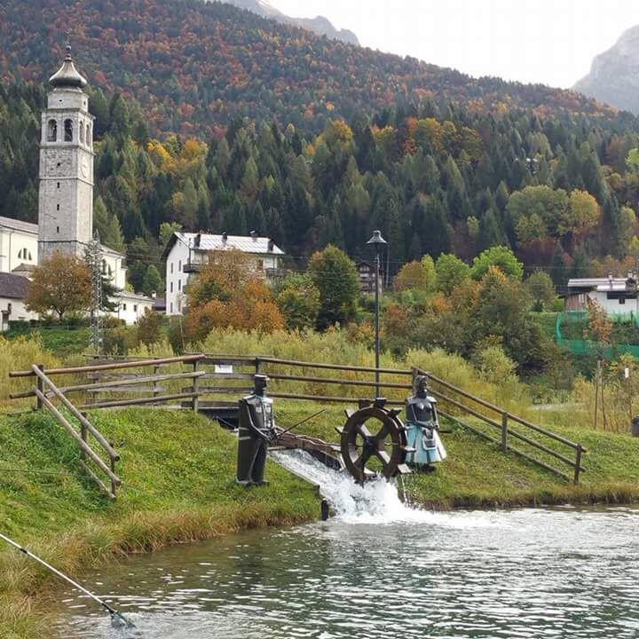 Albergo Meuble Tarandan Forni di Sopra Exteriör bild